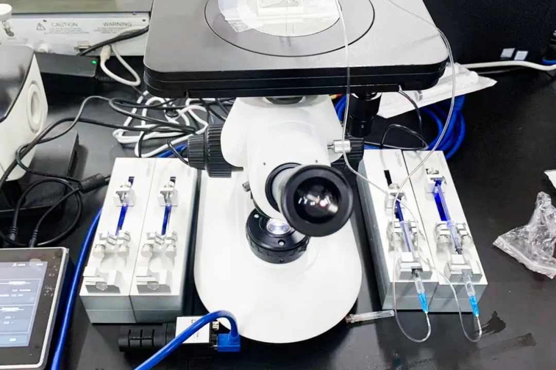 2024091214132566.webp 640 (75).webp