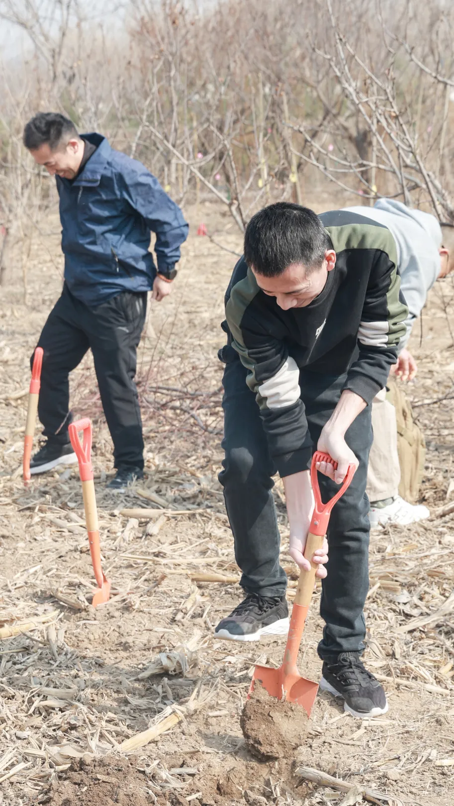 2024091293753704.webp 640 (92).webp