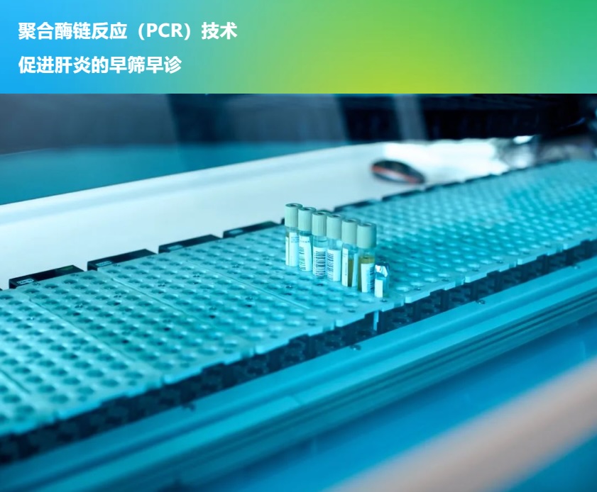 2024091317096542.jpg 20230802134845-53797190589830280.jpg