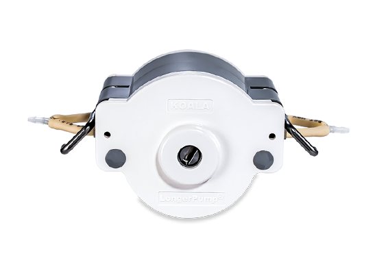 DMD15-13 灌装型低脉动蠕动泵泵头