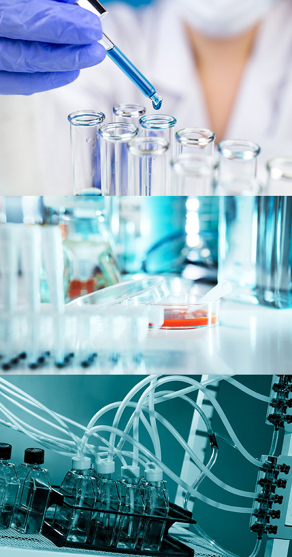 2025041813042099.jpg 应用.jpg