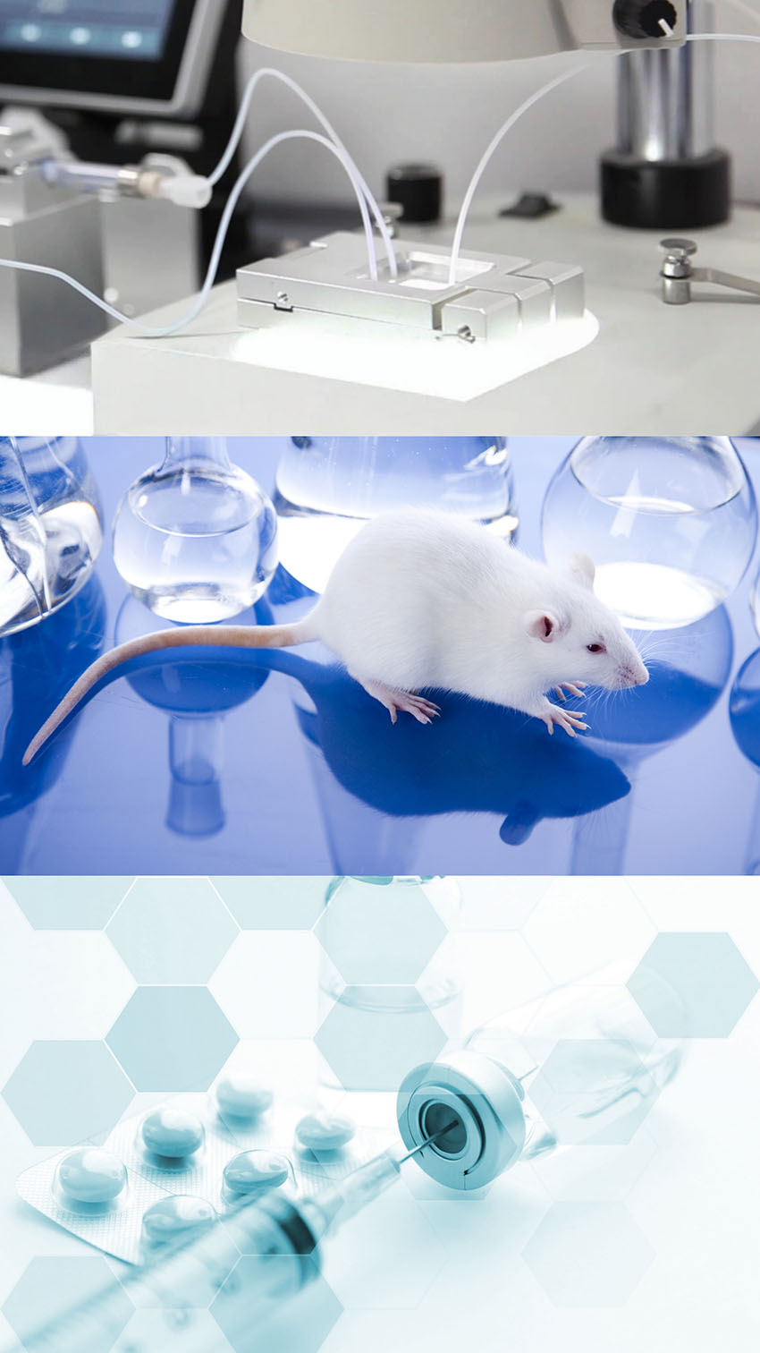 2025090516094176.jpg yingyogn.jpg